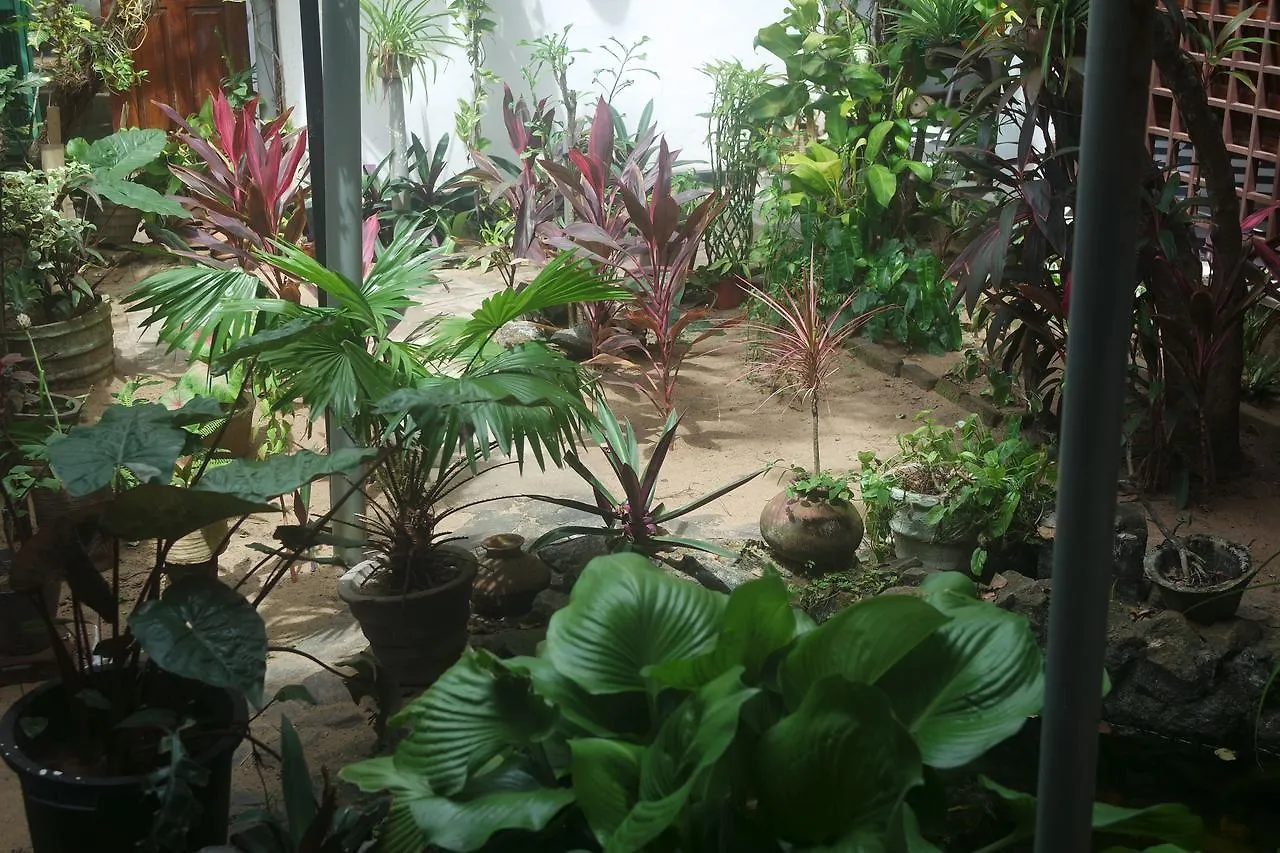 Dephani Beach Hotel Negombo 0*,